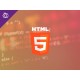 HTML 5